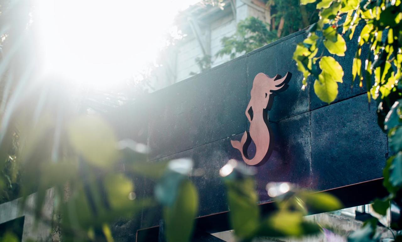 Arthouse Art Residences Τουλούμ Εξωτερικό φωτογραφία